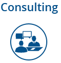 Microsoft Dynamics 365 Consulting Services