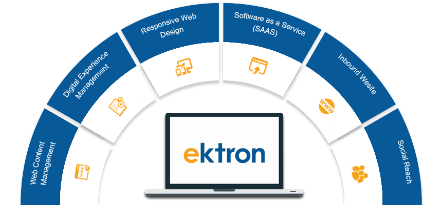 Ektron Services, Solutions